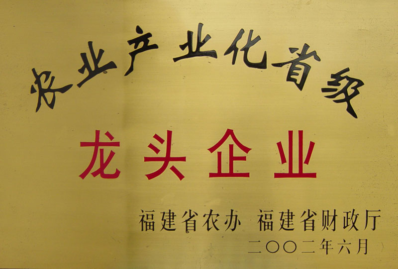 農(nóng)業(yè)產(chǎn)業(yè)化龍頭企業(yè)